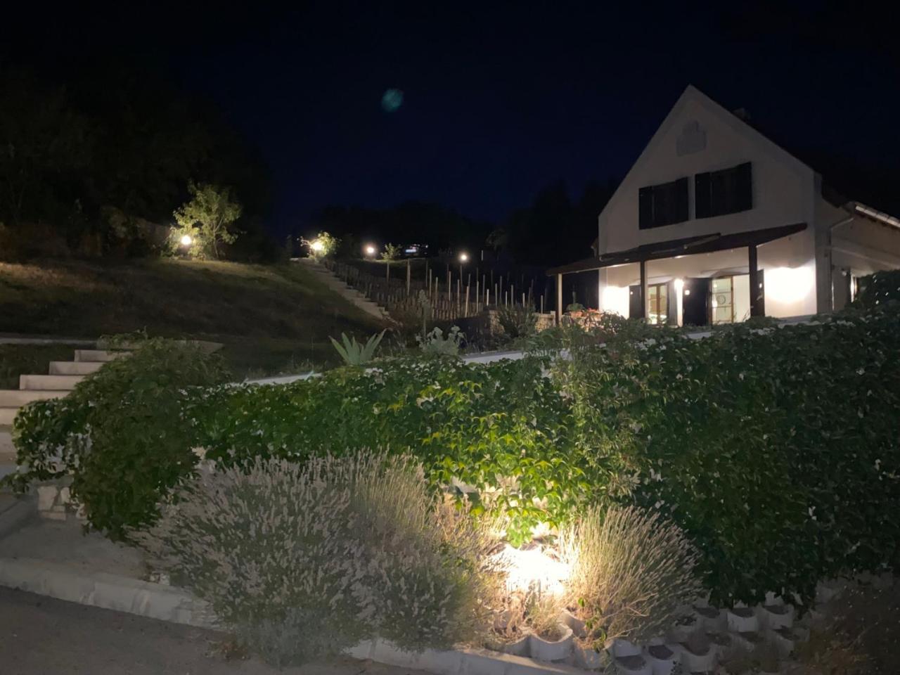 Borbora Borhaz Villa Vaszoly Ngoại thất bức ảnh